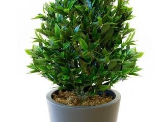 Artificial Topiary, Evergreen Trees & Shrubs Evergreen Trees & Shrubs Garden Plants & flowers