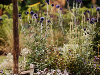 country by Green Point Garden Design, Country