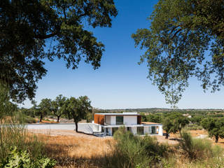 QUINTA DOS POMBAIS HOUSE, OPERA I DESIGN MATTERS OPERA I DESIGN MATTERS منازل خشب Wood effect