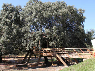 Casa en el árbol enraizada., Urbanarbolismo Urbanarbolismo Casas de estilo mediterráneo