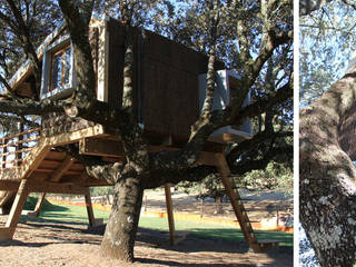 Casa en el árbol enraizada., Urbanarbolismo Urbanarbolismo Country style garden