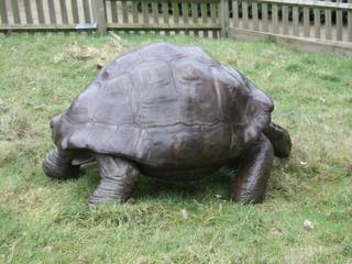 Galapagos Tortoise, Gill Parker sculpture Gill Parker sculpture Other spaces