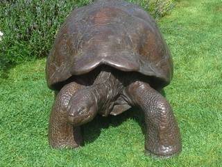Galapagos Tortoise II, Gill Parker sculpture Gill Parker sculpture ArtworkSculptures