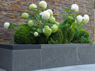 homify Modern style gardens