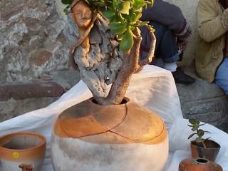 Sculptures pour plantes , et , cache pots découpés, Atelier Terres d AniA Atelier Terres d AniA غرف اخرى