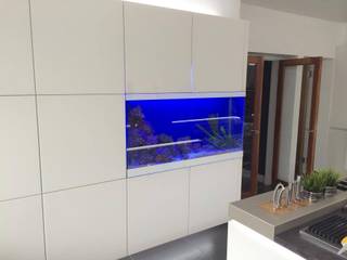 Kitchen Aquarium, Ayr, DC Aquariums DC Aquariums Cocinas modernas