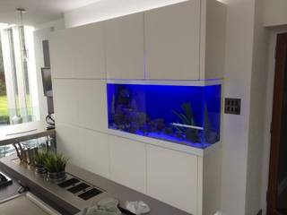 Kitchen Aquarium, Ayr, DC Aquariums DC Aquariums Kitchen