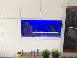 Kitchen Aquarium, Ayr, DC Aquariums DC Aquariums Modern Mutfak