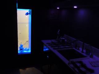 Kitchen Aquarium, Edinburgh, DC Aquariums DC Aquariums Modern Mutfak