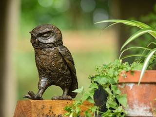 LITTLE OWL II (Passing Time), Marie Shepherd Marie Shepherd Meer ruimtes