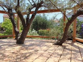La terrasse de l'olivier, Cabaneo Cabaneo Mediterrane tuinen