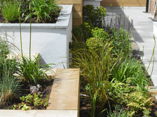 A small contemporary front garden homify Modern Garden