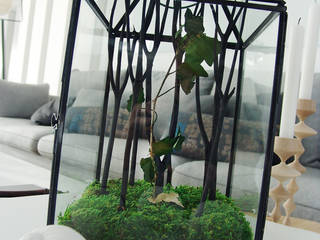 Design végétal, Adventive Adventive Salas de estilo ecléctico Vidrio Negro