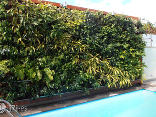 7 detalles para una pared tropical, Jardineria 7 islas Jardineria 7 islas Стены и пол в тропическом стиле