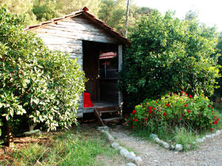 Olympos Deep Green Bungalows