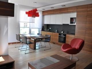 apartament w Poznaniu, ENDE marcin lewandowicz ENDE marcin lewandowicz Modern Living Room