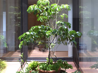 LIGHT COURT with PLANTS FURUKAWA DESIGN OFFICE Moderne tuinen