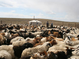 De vilten sloffen worden van schapenwol gemaakt in Mongolië, handgemaakt!, esgii esgii