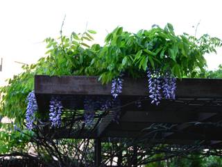 ¡Las Pérgolas que tu casa necesita para la primavera!, Slabon Forja Creativa Slabon Forja Creativa Mediterraner Garten