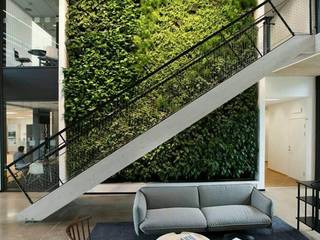 Jardines verticales, Green Gallery Green Gallery حديقة