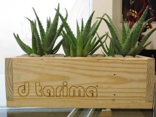 OTROS, d tarima d tarima Rustic style garden