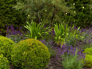 A contemporary Surrey garden, Forest Eyes Photography Forest Eyes Photography Taman Modern