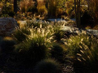 A wild garden in Washington State USA, Bowles & Wyer Bowles & Wyer Nowoczesny ogród