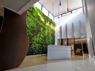 Jardín Vertical interior F+P en Castellón, SingularGreen SingularGreen حديقة