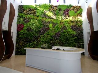 Jardín Vertical interior F+P en Castellón, SingularGreen SingularGreen Сад в стиле модерн