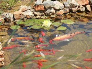 Casa Madeira, Riscos & Atitudes, Lda Riscos & Atitudes, Lda Piscinas