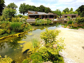 Zwemvijver Weert, Tuindesign & Styling Ves Reynders Tuindesign & Styling Ves Reynders Modern style gardens