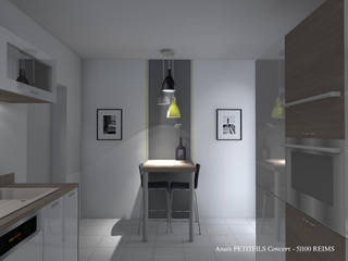 Aménagement appartement 150 m2 51 - Reims, APCONCEPT APCONCEPT Cuisine moderne