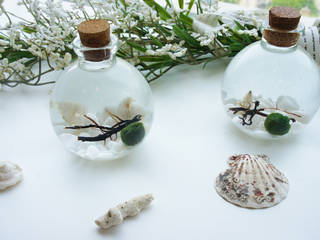 Marimoball Terrarium(사랑스런 애완식물 마리모볼), luvinball luvinball Jardines modernos: Ideas, imágenes y decoración