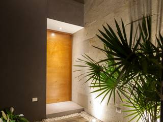 LGZ Taller de arquitectura Modern windows & doors Wood Wood effect