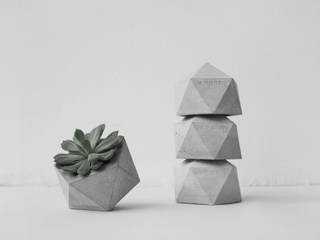 Icosahedron / Pflanzenübertopf aus Beton, frauklarer frauklarer غرفة المعيشة