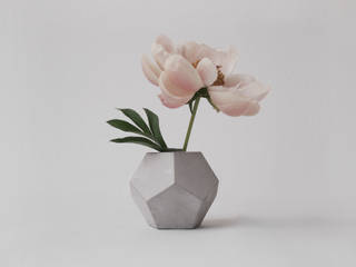 Dodecahedron / Vase aus Beton, frauklarer frauklarer 스칸디나비아 거실