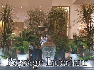 Aménagement Intérieur, Paysage Intérieur Paysage Intérieur บ้านและที่อยู่อาศัย