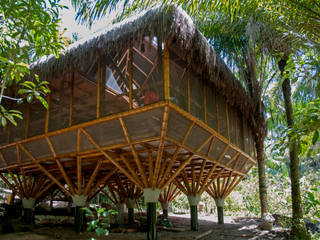Universo Pol - Morro de San Pablo, IR arquitectura IR arquitectura Tropical style bedroom Bamboo Wood effect