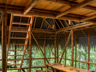 Universo Pol - Morro de San Pablo, IR arquitectura IR arquitectura Comedores de estilo tropical Bambú Acabado en madera