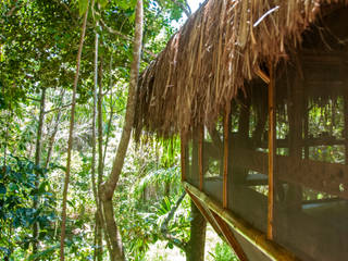 Universo Pol - Morro de San Pablo, IR arquitectura IR arquitectura Casas de estilo tropical Bambú Acabado en madera