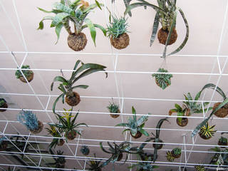 Instalação de plantas fiu suspensas no My Story Hostel, fiu jardins, lda. fiu jardins, lda. 모던스타일 정원