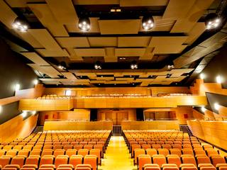 Paneles acústicos Auditorio Alfredo Kraus, SPIGOGROUP SPIGOGROUP Salas multimedia modernas