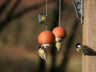 Birdball Belle Feeder, Green & Blue Green & Blue モダンな庭