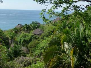 Villa in Nuevo Vallarta, Tropical America landscaping Tropical America landscaping Modern Garden