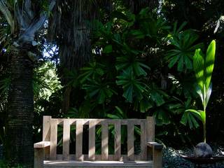 Plantas, Tropical America landscaping Tropical America landscaping Giardino moderno