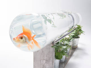PRODUIT l’aquarium : ligne de nage pour Edmond le poisson rouge, Frédéric TABARY Frédéric TABARY Interior landscaping Glass Transparent