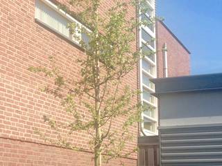 villatuin Utrecht, Buro Floris Buro Floris Moderner Garten