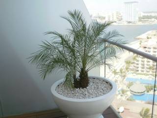 ESPACIOS CON MACETAS, Tropico Jardineria Tropico Jardineria トロピカルな 庭