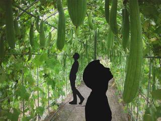 Zlata light - flexible tube light made from luffa plant, KIMXGENSAPA KIMXGENSAPA ห้องนอน ไฟเบอร์ธรรมชาติ Beige