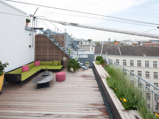 Dachgarten im Servitenviertel, BEGRÜNDER BEGRÜNDER Moderner Balkon, Veranda & Terrasse